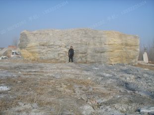 Landscape stone, natural stone,Taihu landscape stone XLS099