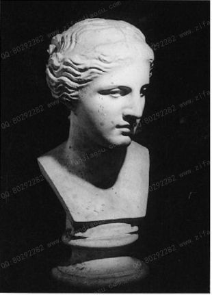 stone statue bust,European stone bust, stone sculpture bust - OSXX344